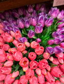 Tulpen Bos - Middel - Roze