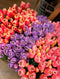 Tulpen Bos - Lang - Roze/Wit