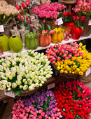 Tulpen Bos - Middel - Roze